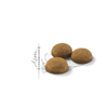 ROYAL CANIN Indoor Long Hair 2x10kg