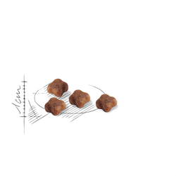 ROYAL CANIN Mother & Babycat 2x4kg