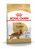 ROYAL CANIN Cocker Spaniel Ενηλίκων 2x12kg